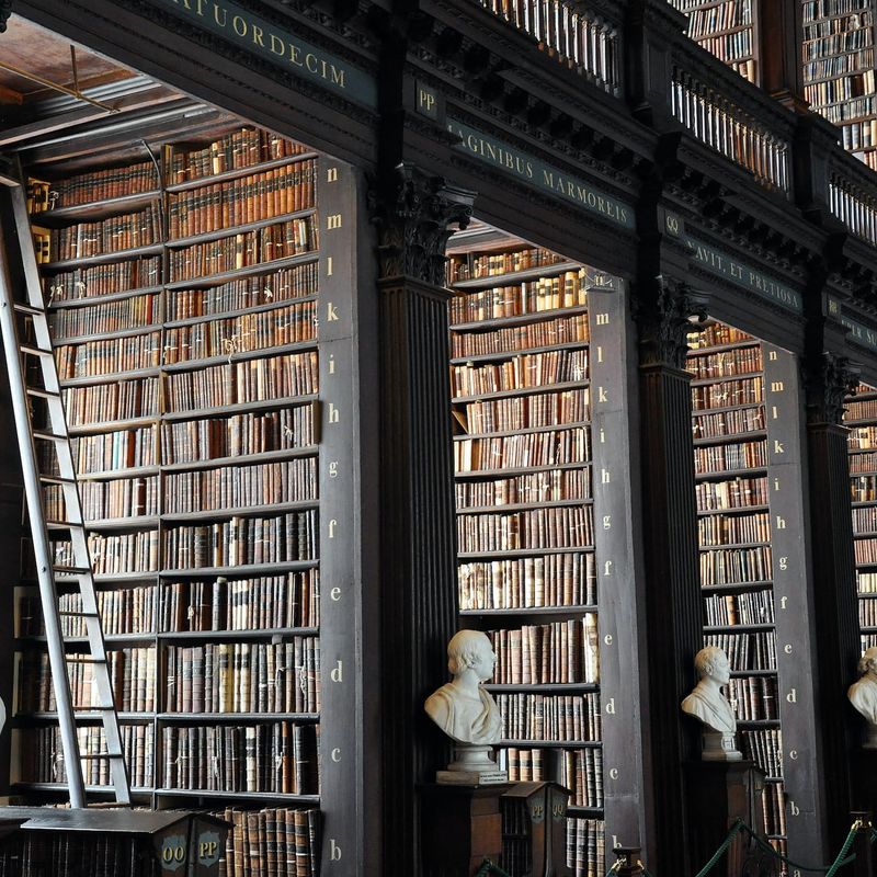 Following, Tracing and Stranger to a Trust